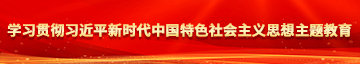 暴操骚逼视频学习贯彻习近平新时代中国特色社会主义思想主题教育